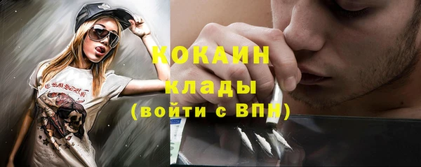 мдпв Новозыбков