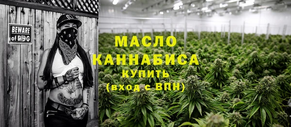 мдпв Новозыбков