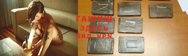 мдпв Новозыбков