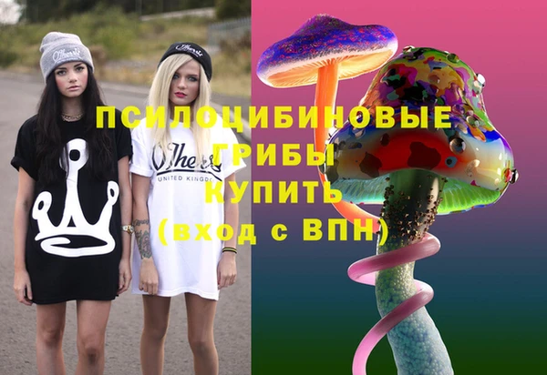 мдпв Новозыбков