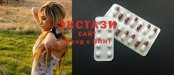 мдпв Новозыбков