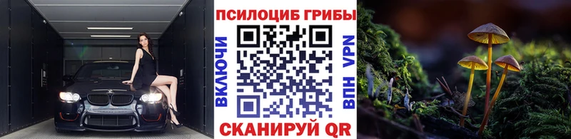 Купить  Ярославль  Псилоцибиновые грибы мухоморы 